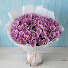 Букет цветов из:  Хризантемы #REPLACE_PRED# Абатское