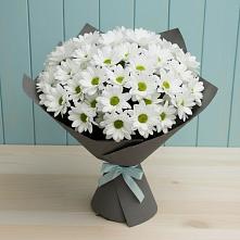 Букет цветов из:  Хризантемы в Абатское