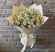 Букет цветов из:  Ромашки #REPLACE_PRED# Абатское