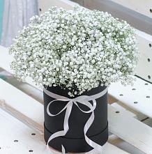Цветочная композиция из Гипсофила в шляпной коробке #REPLACE_PRED# Абатское