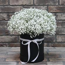 Цветочная композиция из Гипсофила в шляпной коробке в Абатское