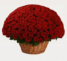 Премиум букет из: Розы в Абатское